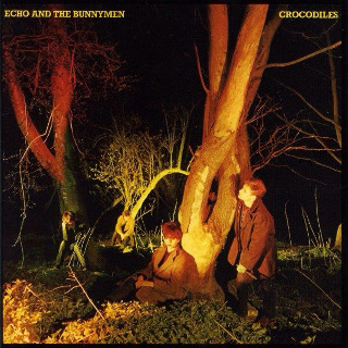 09. 1980 Echo and The Bunnymen - Crocodiles.jpg