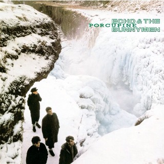 10. 1983 Echo and The Bunnymen - Porcupine.jpg