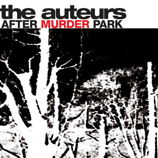 11    The auteurs - After murder park.jpg