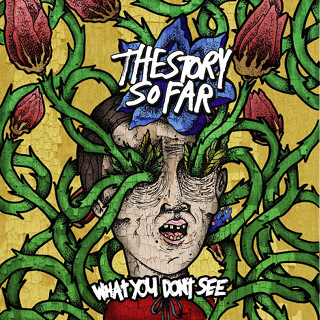 12_What You Don't See - The Story So Far_w320.jpg