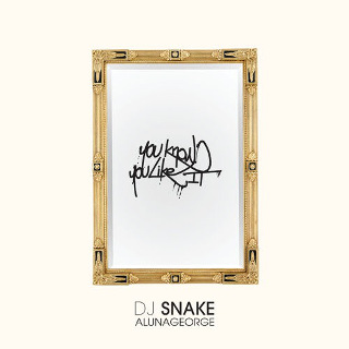 14位  You Know You Like It - DJ Snake & AlunaGeorge.jpg