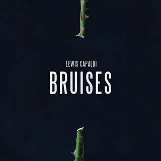 17_Bruises - Single - Lewis Capaldi.jpg