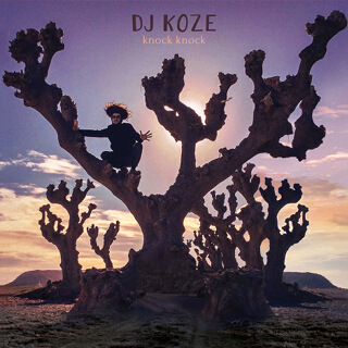18    DJ Koze - Knock Knock.jpg