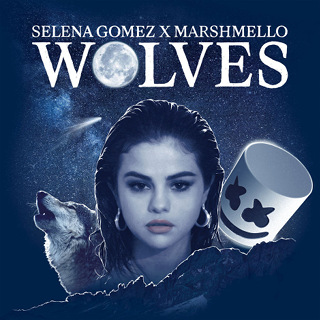 20位 Wolves - Selena Gomez X Marshmello_w320.jpg