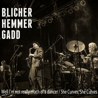  She Curves, She Curves (Live) - Single - Michael Blicher, Dan Hemmer & Steve Gadd.jpg