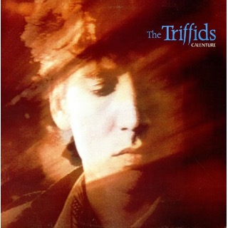 21. 1987 The Triffids - Calenture.jpg