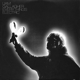 #18 Everything's Electric - Liam Gallagher_w320.jpg