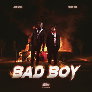 #22 Bad Boy - Juice WRLD & Young Thug_w320.jpg