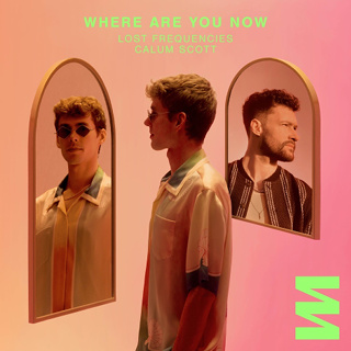 #23 Where Are You Now - Lost Frequencies Calum Scott_w320.jpg