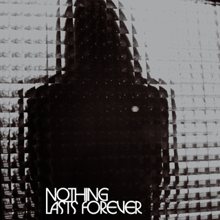 #30 Nothing Lasts Forever - Teenage Fanclub_w320.jpg