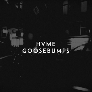 #37 Goosebumps - HVME_w320.jpg