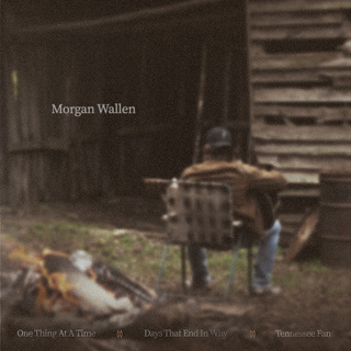 #37 One Thing At A Time - Morgan Wallen_w320.jpg