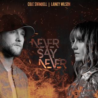 #40 Never Say Never - Cole Swindell  Lainey Wilson_w320.jpg