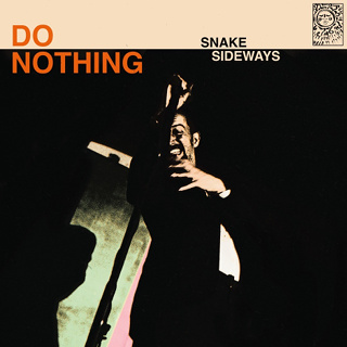 #87 Snake Sideways - Do Nothing_w320.jpg