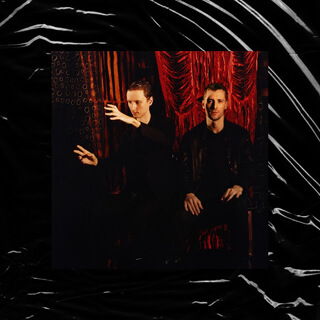 32 These New Puritans - Inside the Rose.jpg