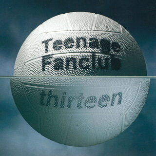 41    Teenage Fanclub - Thirteen.jpg
