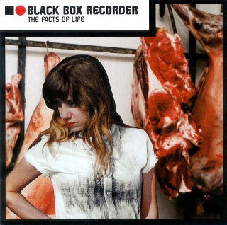 4     Black Box Recorder – The Facts Of Life.jpg