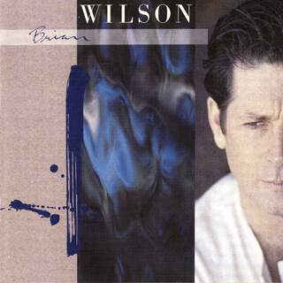 45 Brian Wilson - Brian Wilson.jpg