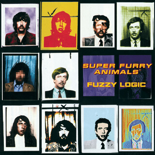 48    Super furry animals - Fuzzy logic.jpg