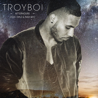 Afterhours (feat. Diplo & Nina Sky) - Single - TroyBoi_w320.jpg