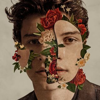 No.10 In My Blood - Shawn Mendes_w320.jpg
