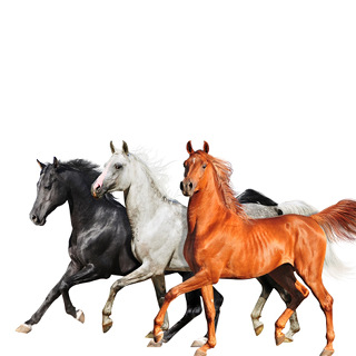 No.1 Old Town Road - Lil Nas X Featuring Billy Ray Cyrus_w320.jpg