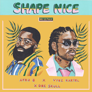 No.1 Shape Nice - Afro B, Vybz Kartel & Dre Skull_w320.jpg