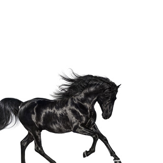 No.15 Old Town Road - Lil Nas X_w320.jpg