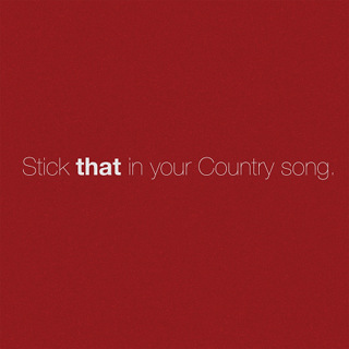 No.2 Stick That in Your Country Song - Eric Church_w320.jpg