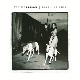 No.31 Days Like This - Van Morrison.jpg