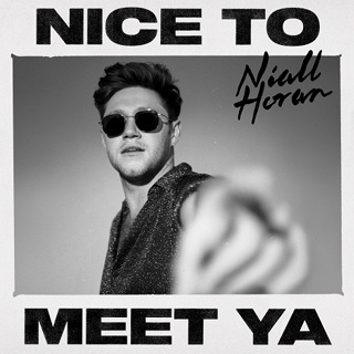 No.4- Nice to Meet Ya - Niall Horan_w320.jpg