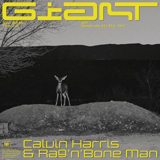 No.4 Giant - Calvin Harris & Rag'n'bone Man_w320.jpg