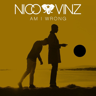 No.8- Am I Wrong - Nico & Vinz_w320.jpg