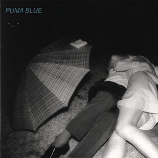 Swum Baby - EP - Puma Blue_w320.jpg