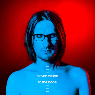To the Bone - Steven Wilson_w320.jpg
