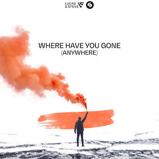Where Have You Gone (Anywhere) - Single - Lucas & Steve_w320.jpg