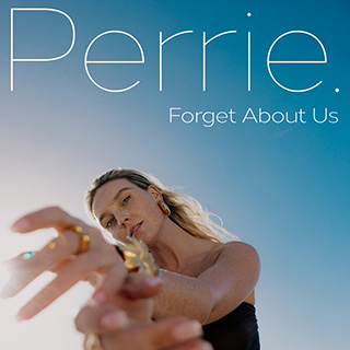 _10 Forget About Us - Perrie_w320.jpg