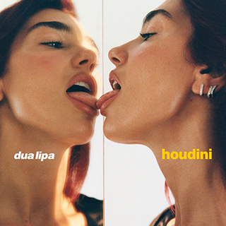 _11 Houdini - Dua Lipa_w320.png