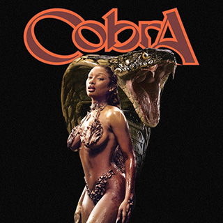_32 Cobra - Megan Thee Stallion_w320.jpg