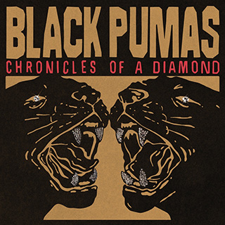 _69 Chronicles Of A Diamond - Black Pumas_w320.jpg